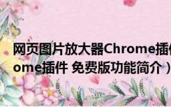 网页图片放大器Chrome插件 免费版（网页图片放大器Chrome插件 免费版功能简介）