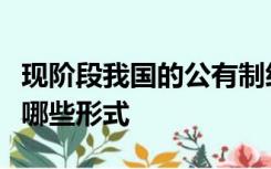 现阶段我国的公有制经济和非公有制经济各有哪些形式