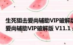 生死狙击爱尚辅助VIP破解版 V11.1 永久免费版（生死狙击爱尚辅助VIP破解版 V11.1 永久免费版功能简介）