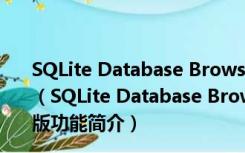 SQLite Database Browser(数据库浏览器) V3.5.0 官方版（SQLite Database Browser(数据库浏览器) V3.5.0 官方版功能简介）