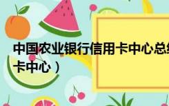 中国农业银行信用卡中心总经理薛亚勤（中国农业银行信用卡中心）