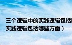 三个逻辑中的实践逻辑包括哪些方面和内容（三个逻辑中的实践逻辑包括哪些方面）