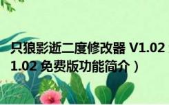 只狼影逝二度修改器 V1.02 免费版（只狼影逝二度修改器 V1.02 免费版功能简介）