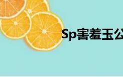 Sp害羞玉公主尺红屁股