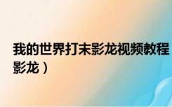 我的世界打末影龙视频教程（老村长解说我的世界怎么打末影龙）