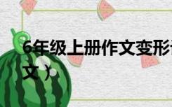 6年级上册作文变形记500字（6年级上册作文）