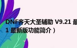 DNF齐天大圣辅助 V9.21 最新版（DNF齐天大圣辅助 V9.21 最新版功能简介）