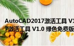 AutoCAD2017激活工具 V1.0 绿色免费版（AutoCAD2017激活工具 V1.0 绿色免费版功能简介）