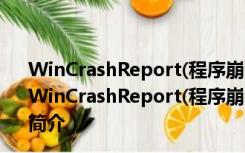 WinCrashReport(程序崩溃查看器) V1.23 绿色免费版（WinCrashReport(程序崩溃查看器) V1.23 绿色免费版功能简介）