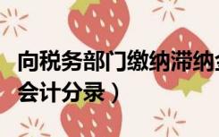 向税务部门缴纳滞纳金会计分录（税收滞纳金会计分录）