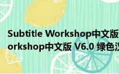 Subtitle Workshop中文版 V6.0 绿色汉化版（Subtitle Workshop中文版 V6.0 绿色汉化版功能简介）