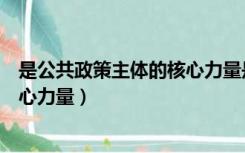 是公共政策主体的核心力量是执政党（是公共政策主体的核心力量）