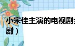 小宋佳主演的电视剧全部（小宋佳主演的电视剧）