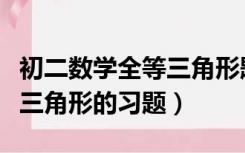 初二数学全等三角形题及答案（初二数学全等三角形的习题）