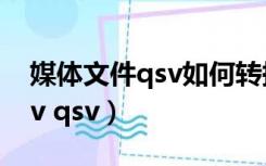 媒体文件qsv如何转换成mp4（媒体文件 qsv qsv）