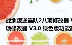 战地叛逆连队2八项修改器 V3.0 绿色版（战地叛逆连队2八项修改器 V3.0 绿色版功能简介）