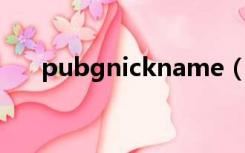 pubgnickname（pubg nickname）