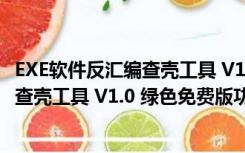 EXE软件反汇编查壳工具 V1.0 绿色免费版（EXE软件反汇编查壳工具 V1.0 绿色免费版功能简介）