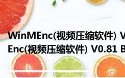 WinMEnc(视频压缩软件) V0.81 Beta 绿色汉化版（WinMEnc(视频压缩软件) V0.81 Beta 绿色汉化版功能简介）