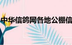 中华信鸽网各地公棚信息网安徽霍邱信鸽比赛