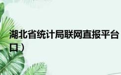 湖北省统计局联网直报平台（湖北统计联网直报平台登录入口）