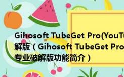 Gihosoft TubeGet Pro(YouTube免费下载视频软件) V6.3.4 专业破解版（Gihosoft TubeGet Pro(YouTube免费下载视频软件) V6.3.4 专业破解版功能简介）