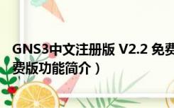 GNS3中文注册版 V2.2 免费版（GNS3中文注册版 V2.2 免费版功能简介）