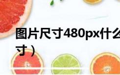 图片尺寸480px什么意思（480px是什么尺寸）