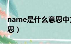 name是什么意思中文翻译（name是什么意思）