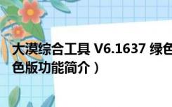 大漠综合工具 V6.1637 绿色版（大漠综合工具 V6.1637 绿色版功能简介）