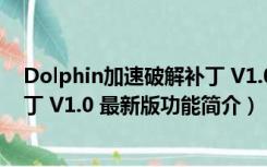 Dolphin加速破解补丁 V1.0 最新版（Dolphin加速破解补丁 V1.0 最新版功能简介）