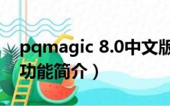 pqmagic 8.0中文版（pqmagic 8.0中文版功能简介）