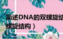 简述DNA的双螺旋结构模型（简述DNA的双螺旋结构）