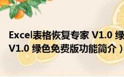 Excel表格恢复专家 V1.0 绿色免费版（Excel表格恢复专家 V1.0 绿色免费版功能简介）