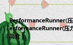 PerformanceRunner(压力测试软件) V1.1.3.1 官方版（PerformanceRunner(压力测试软件) V1.1.3.1 官方版功能简介）