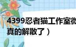 4399忍者猫工作室微博（4399忍者猫工作室真的解散了）