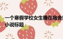 一个寒假学校女生睡在宿舍里被附近工地的民工偷走强奸的小说标题