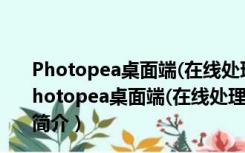 Photopea桌面端(在线处理图片软件) V1.0 吾爱破解版（Photopea桌面端(在线处理图片软件) V1.0 吾爱破解版功能简介）