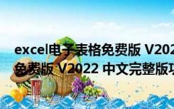 excel电子表格免费版 V2022 中文完整版（excel电子表格免费版 V2022 中文完整版功能简介）