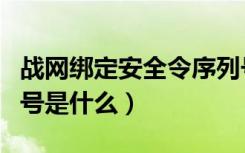 战网绑定安全令序列号无效（战网安全令序列号是什么）