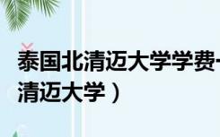 泰国北清迈大学学费一年多少人民币（泰国北清迈大学）