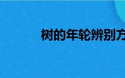 树的年轮辨别方向（树的年轮）