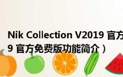 Nik Collection V2019 官方免费版（Nik Collection V2019 官方免费版功能简介）