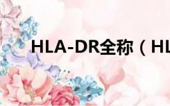 HLA-DR全称（HLA DR是什么意思）