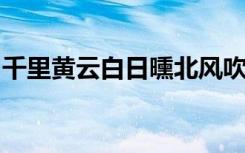 千里黄云白日曛北风吹雁雪纷纷这是什么意思