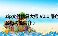 zip文件修复大师 V1.1 绿色版（zip文件修复大师 V1.1 绿色版功能简介）