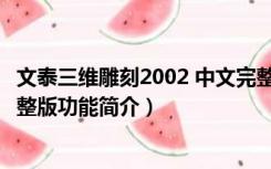 文泰三维雕刻2002 中文完整版（文泰三维雕刻2002 中文完整版功能简介）