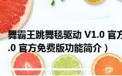 舞霸王跳舞毯驱动 V1.0 官方免费版（舞霸王跳舞毯驱动 V1.0 官方免费版功能简介）