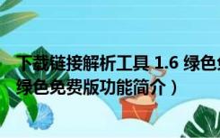 下载链接解析工具 1.6 绿色免费版（下载链接解析工具 1.6 绿色免费版功能简介）