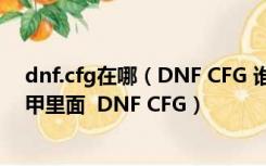 dnf.cfg在哪（DNF CFG 谁知道这个文件在DNF哪个文件甲里面  DNF CFG）